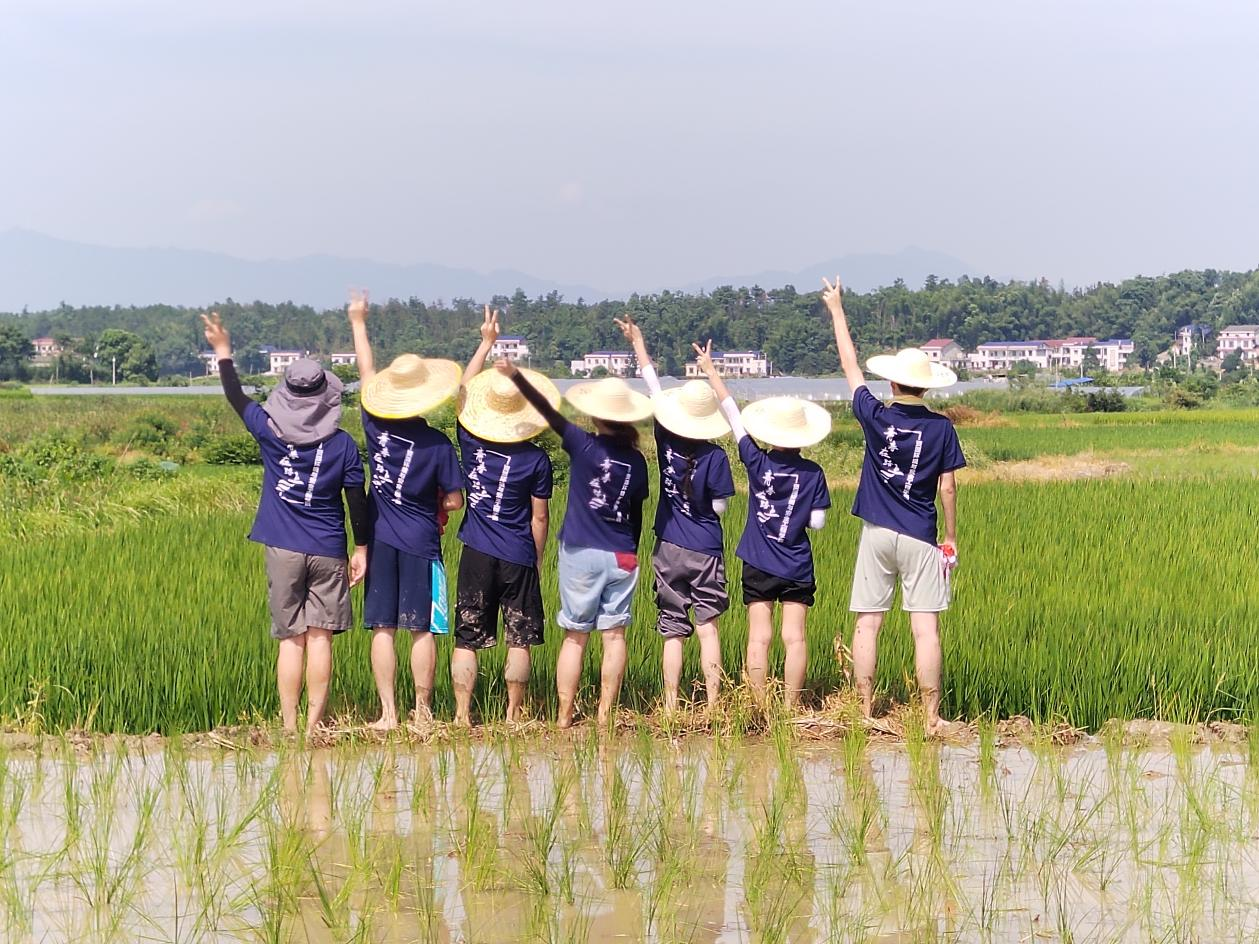 714f03690cb24de29d9c31e5738ef95d.png 图片4.png