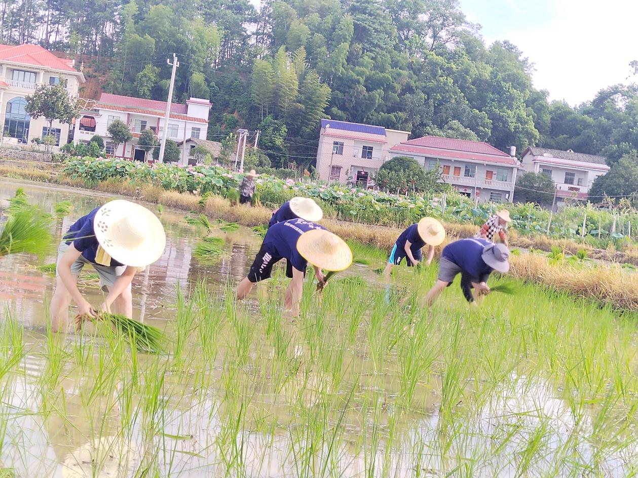 86d5b7255c0c472cb86ca92c790618de.png 图片3.png